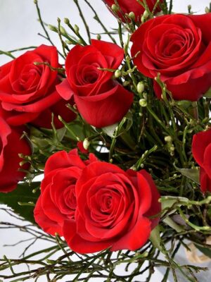 Roses rouges