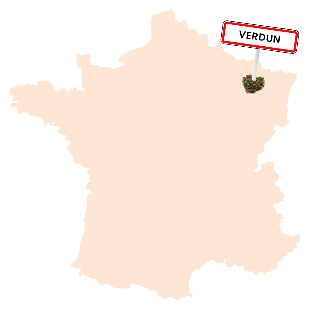 Fleurs Toussaint à VERDUN