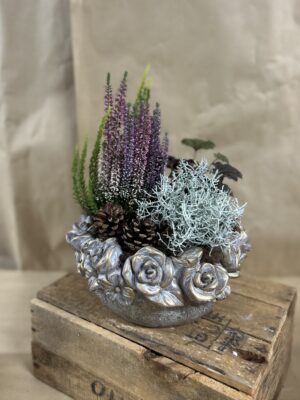 Composition de plantes céramique