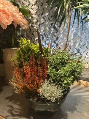 Coupe de plantes vivaces