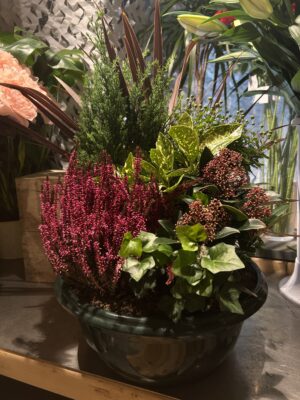 Coupe de plantes Vivaces